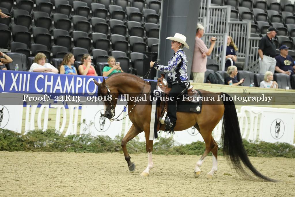 Proof 24R13_03018
