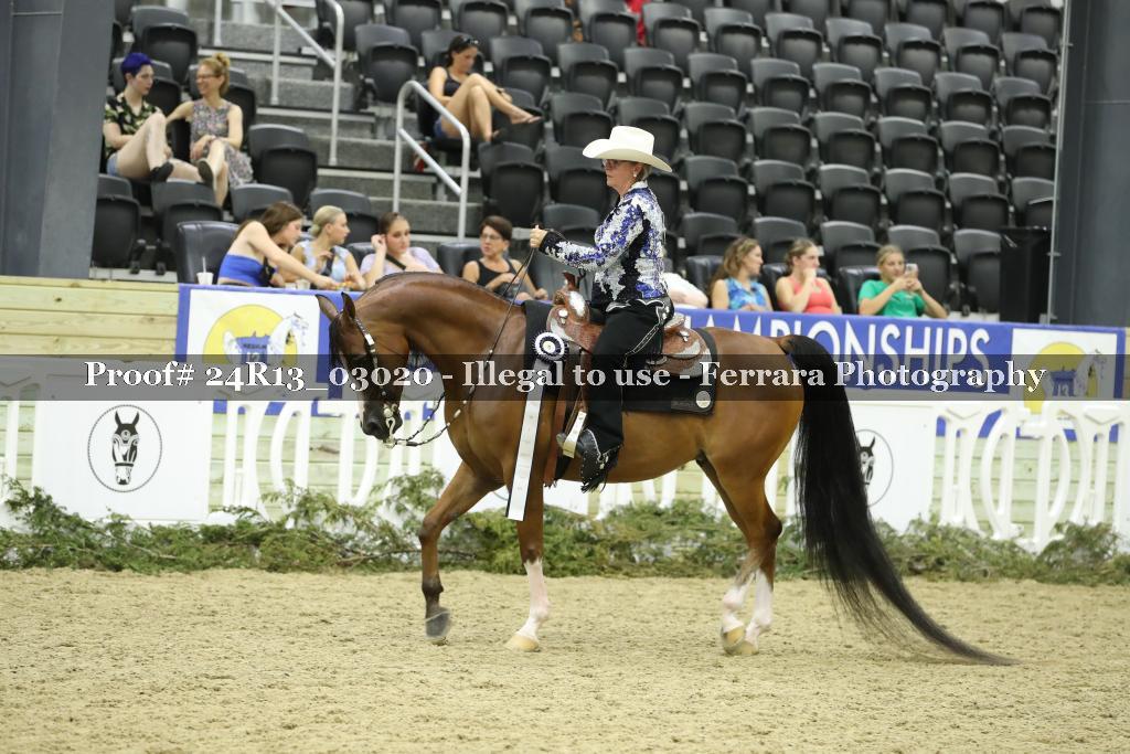 Proof 24R13_03020