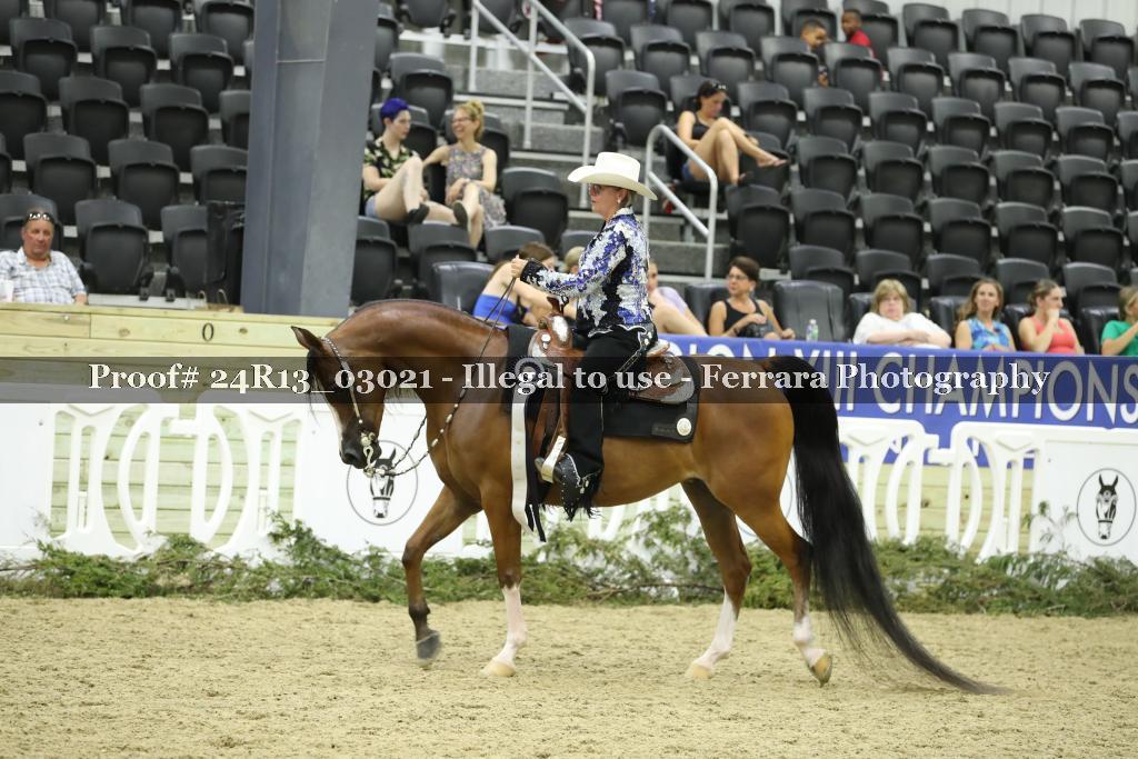 Proof 24R13_03021