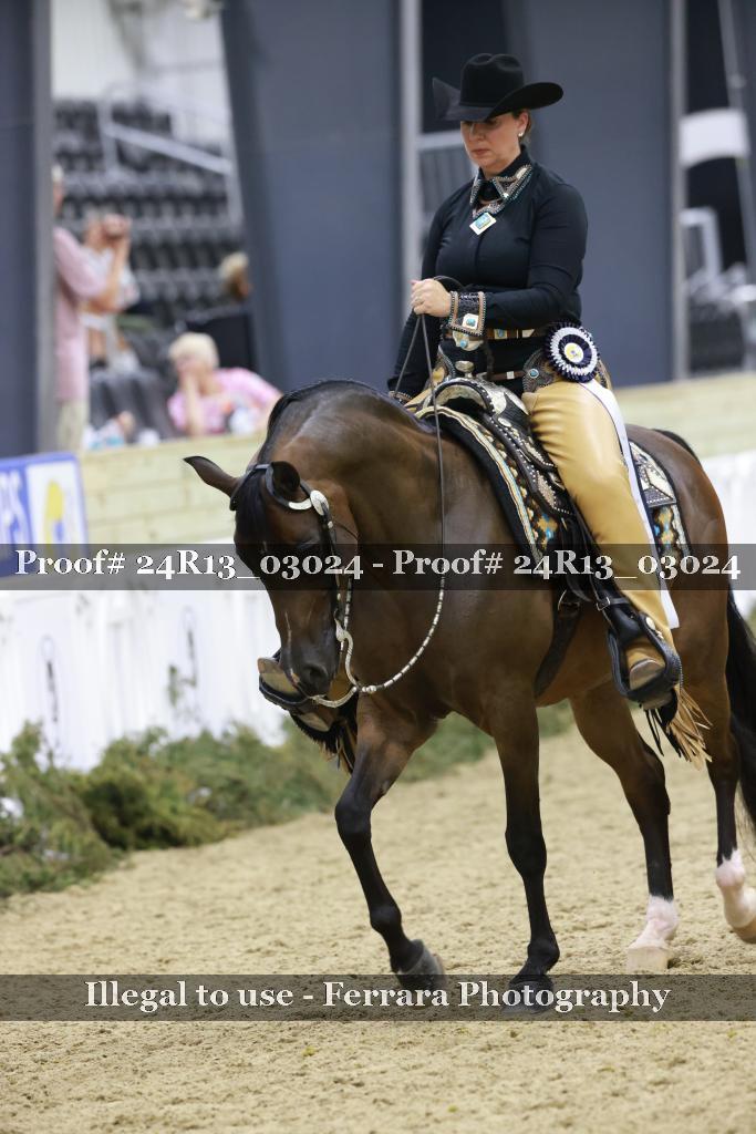 Proof 24R13_03024