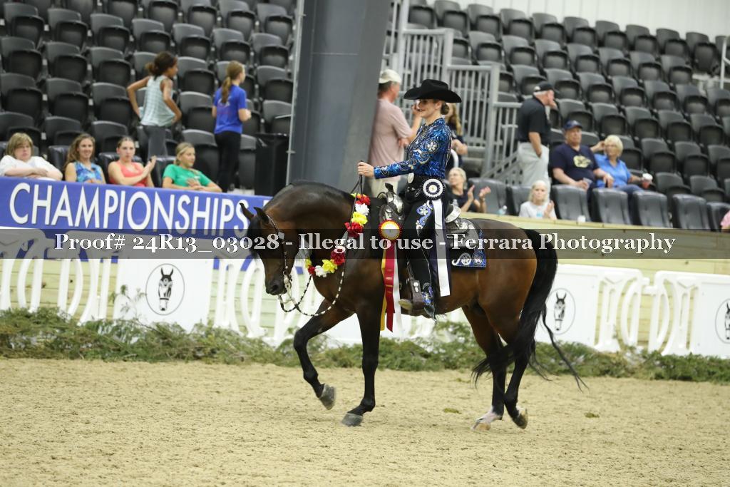 Proof 24R13_03028