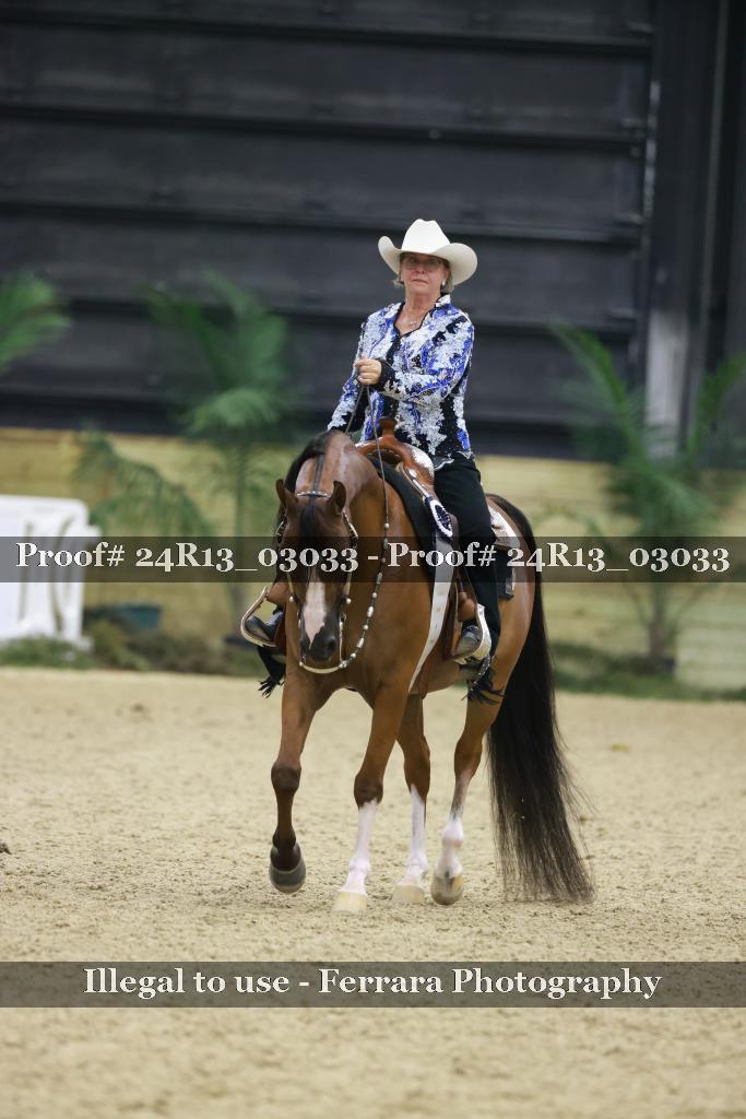 Proof 24R13_03033