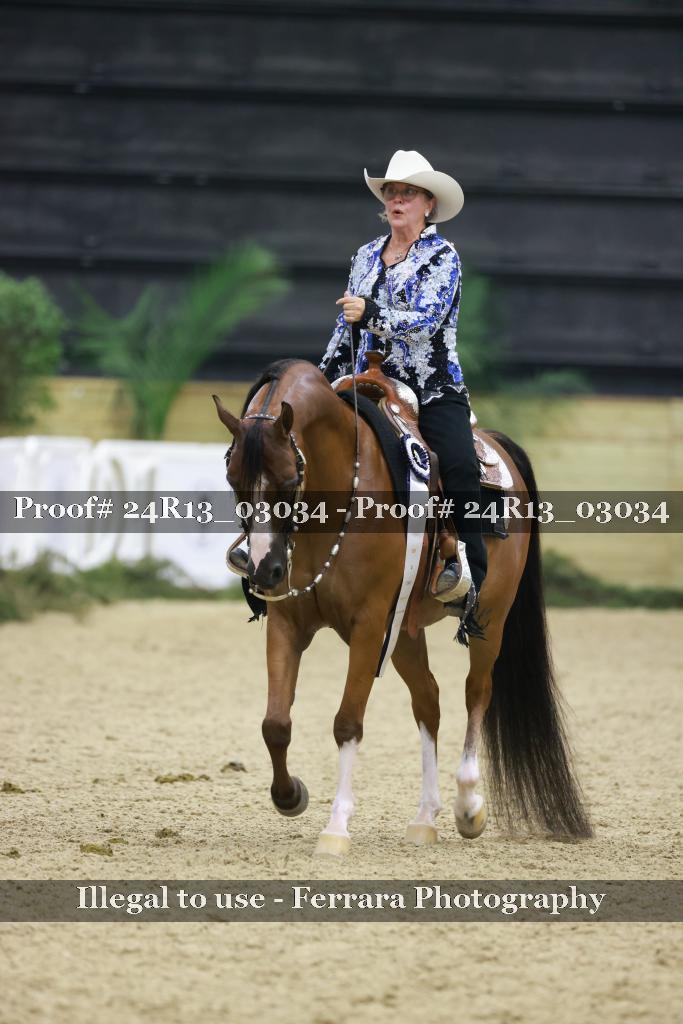 Proof 24R13_03034