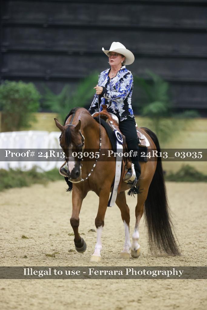 Proof 24R13_03035