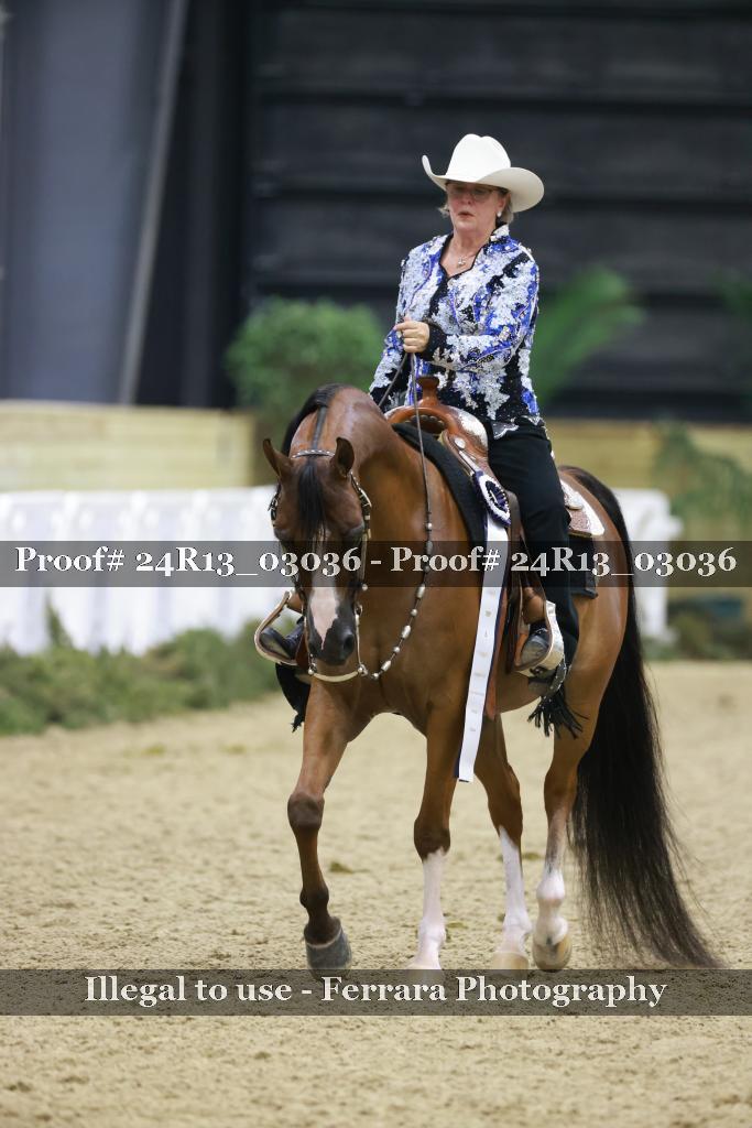 Proof 24R13_03036