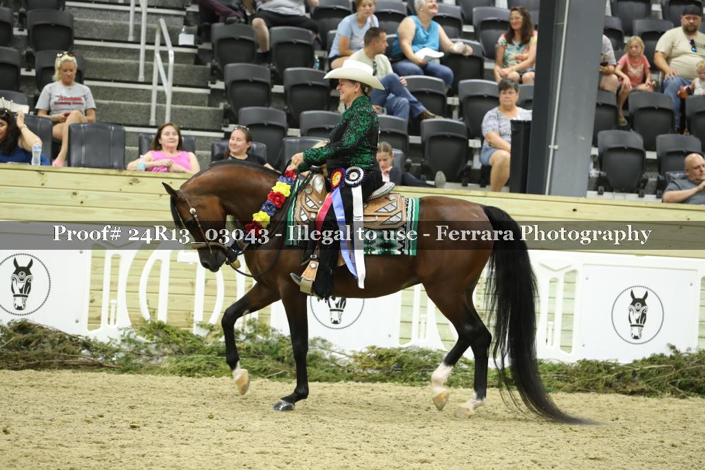 Proof 24R13_03043
