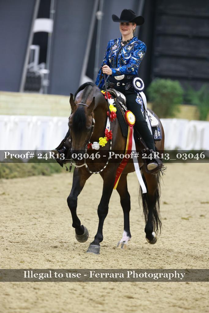 Proof 24R13_03046