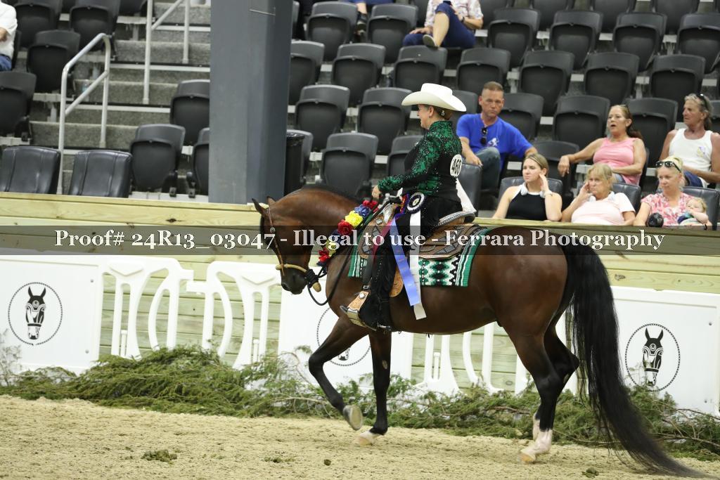 Proof 24R13_03047