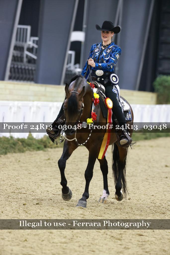 Proof 24R13_03048