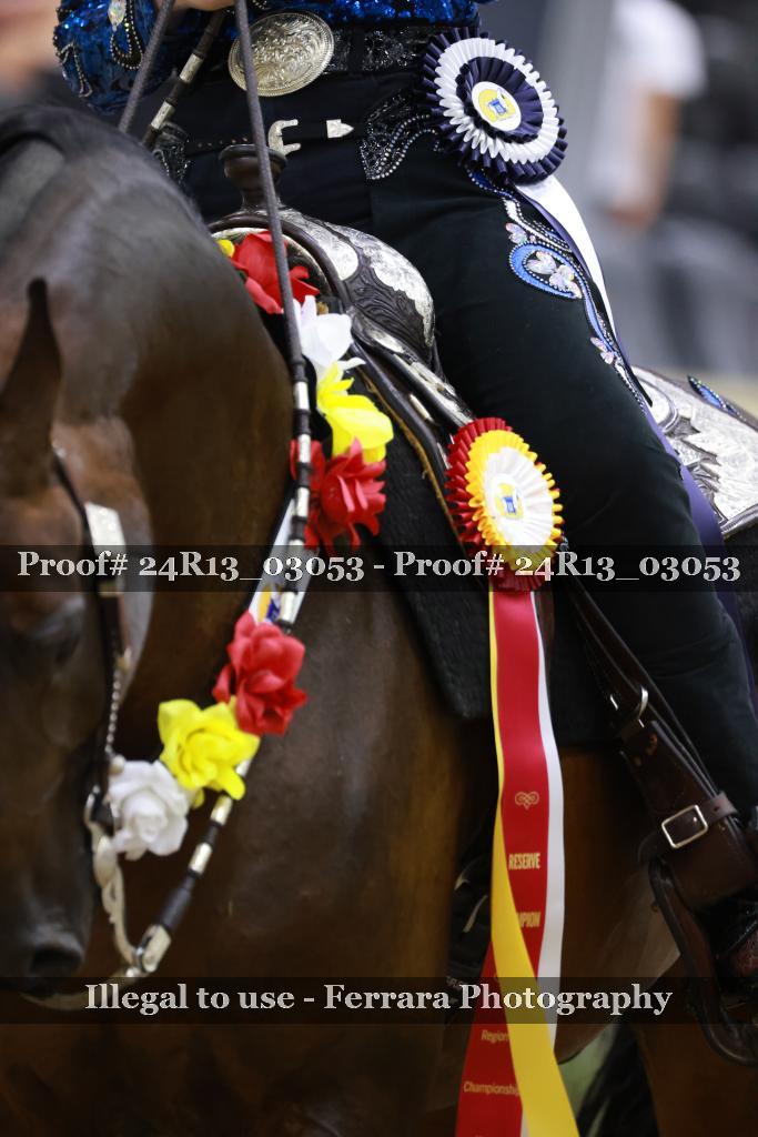 Proof 24R13_03053