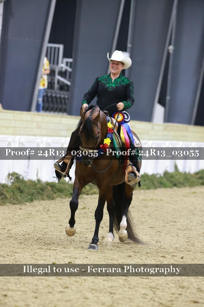 Proof 24R13_03055