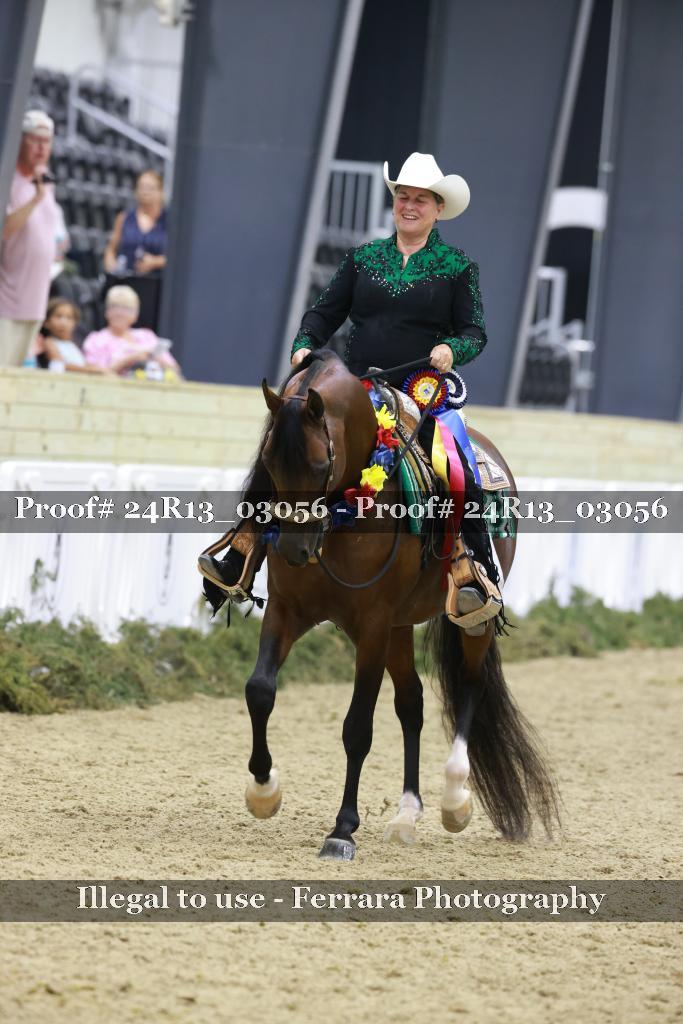 Proof 24R13_03056