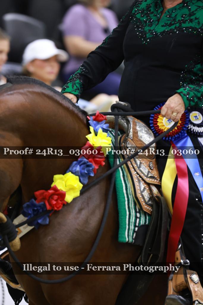 Proof 24R13_03060