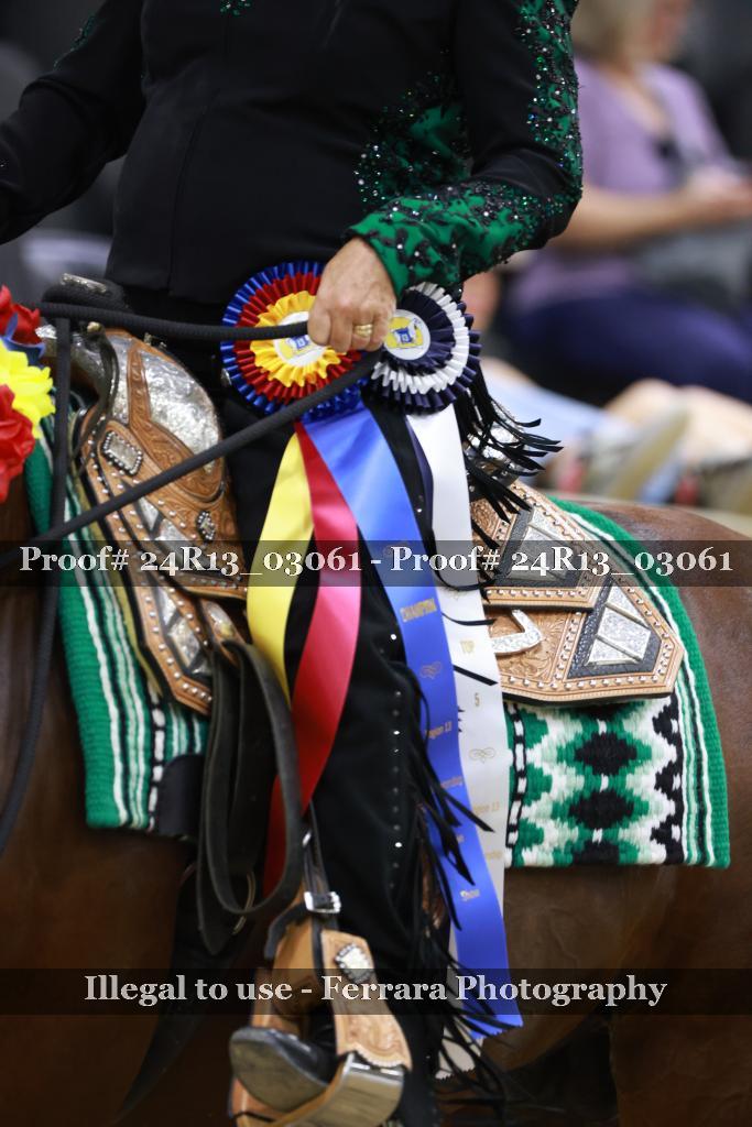 Proof 24R13_03061