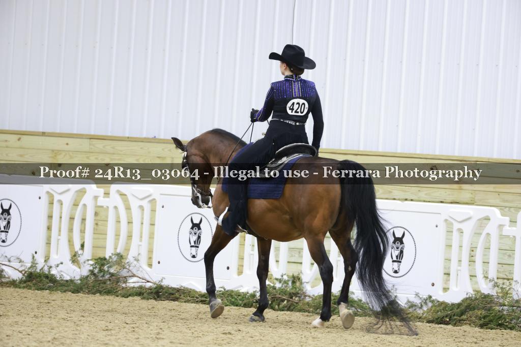 Proof 24R13_03064
