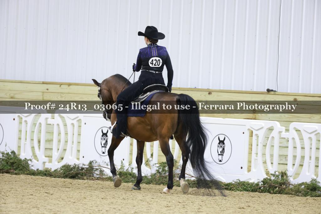 Proof 24R13_03065