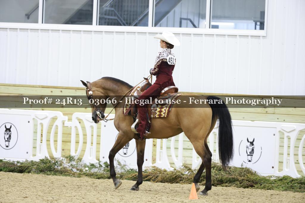 Proof 24R13_03066