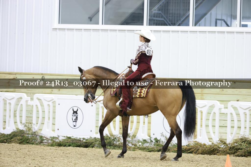 Proof 24R13_03067
