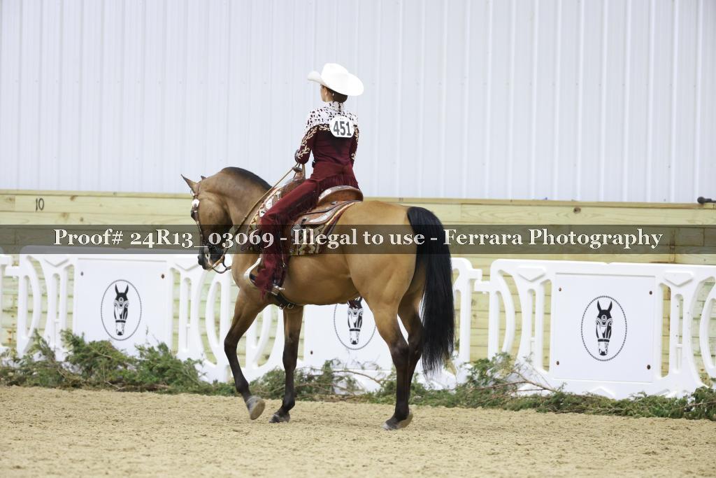 Proof 24R13_03069