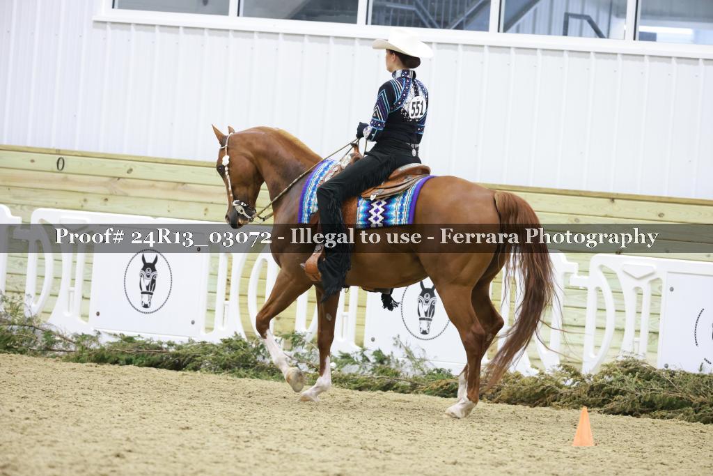 Proof 24R13_03072