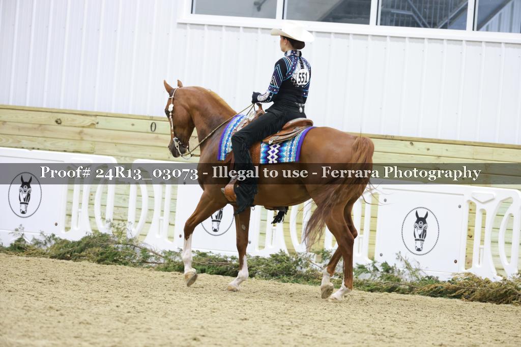 Proof 24R13_03073
