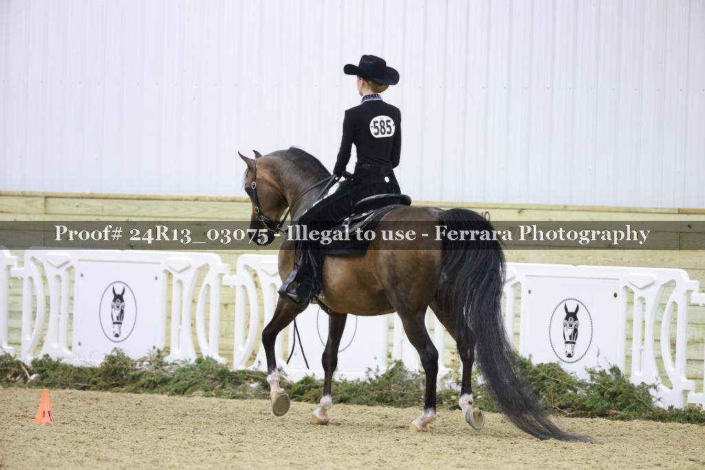 Proof 24R13_03075