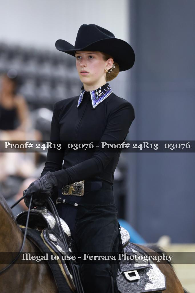 Proof 24R13_03076