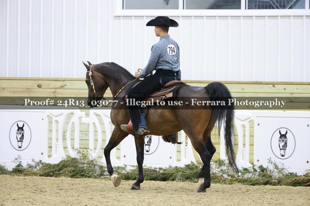 Proof 24R13_03077