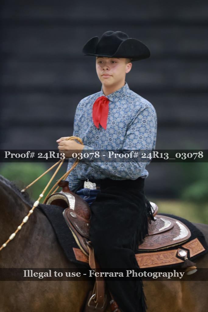 Proof 24R13_03078