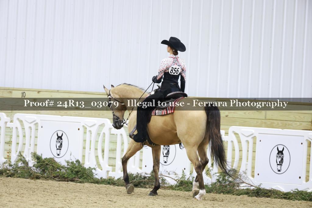 Proof 24R13_03079