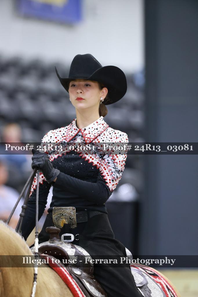 Proof 24R13_03081