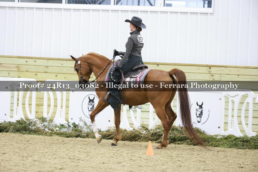 Proof 24R13_03082