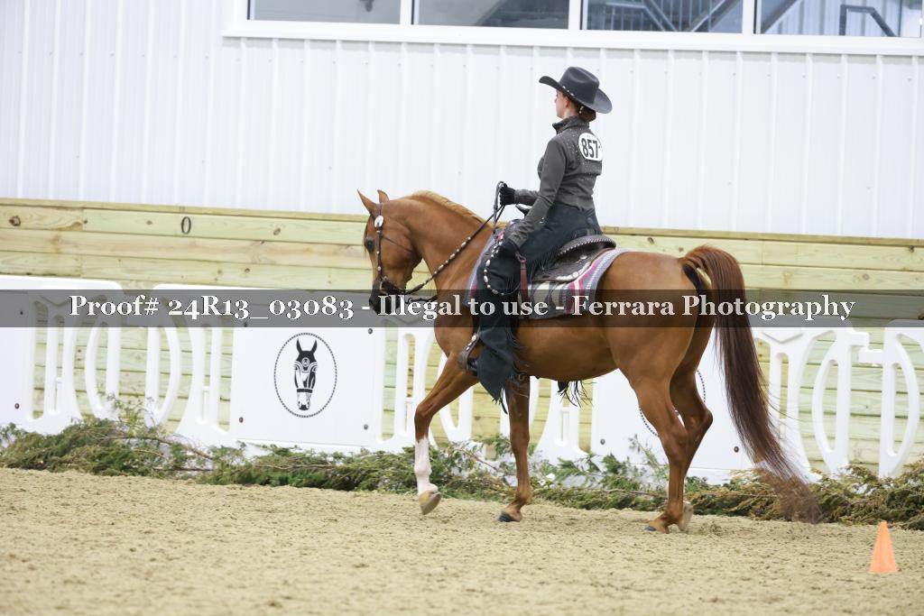 Proof 24R13_03083