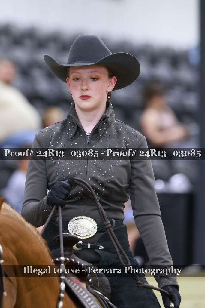Proof 24R13_03085