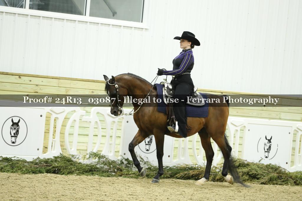 Proof 24R13_03087