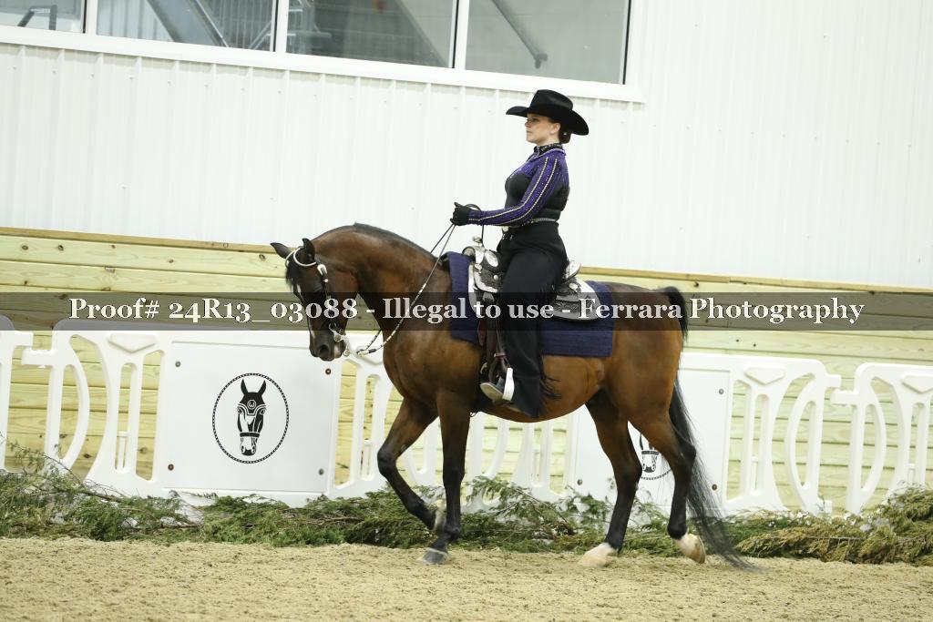 Proof 24R13_03088