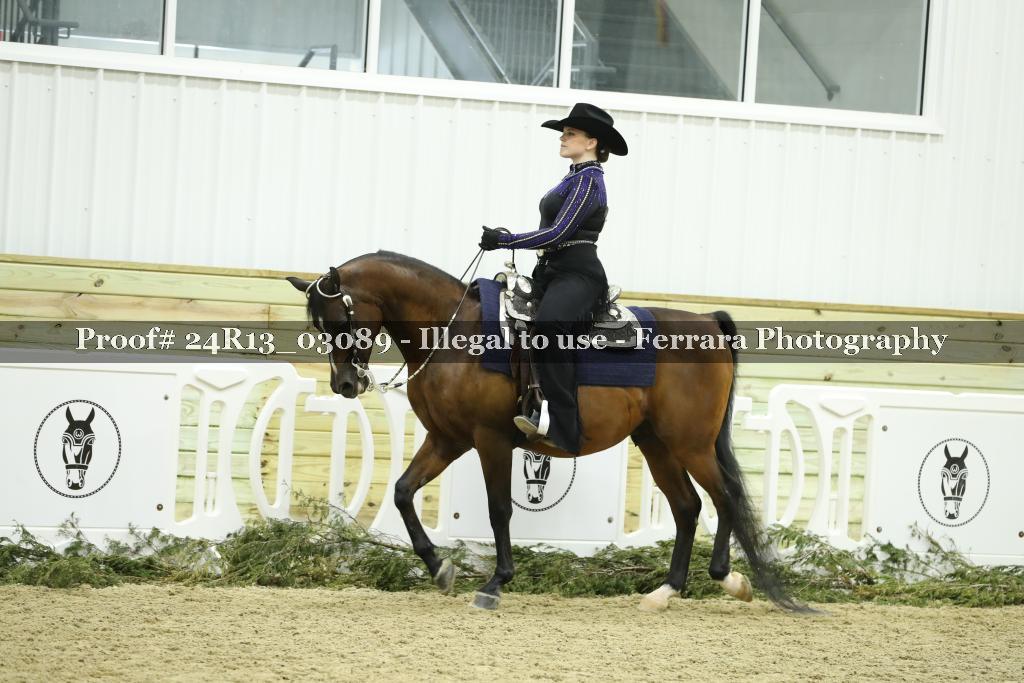 Proof 24R13_03089