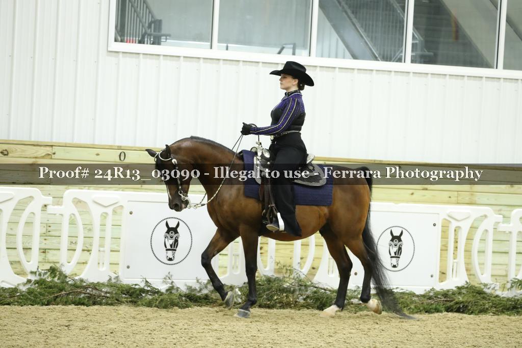 Proof 24R13_03090