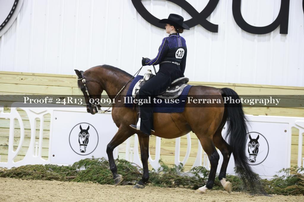 Proof 24R13_03091