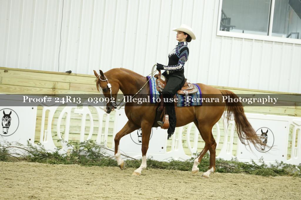 Proof 24R13_03092