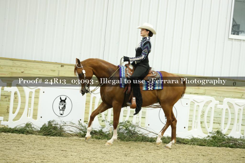 Proof 24R13_03093