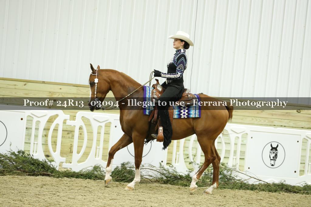 Proof 24R13_03094