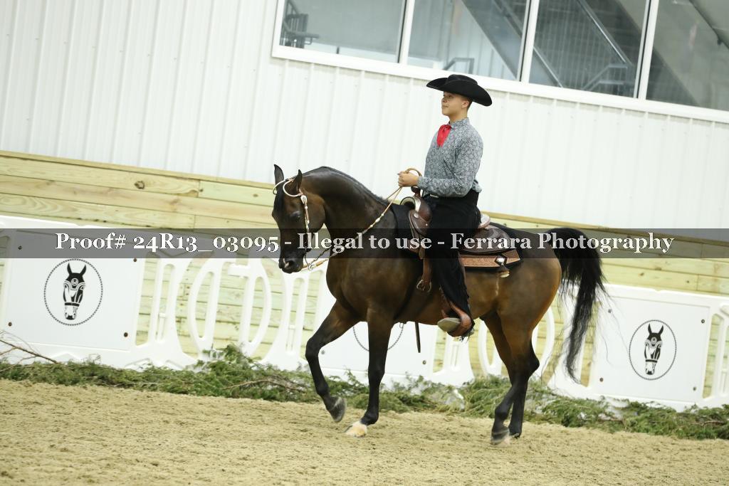 Proof 24R13_03095