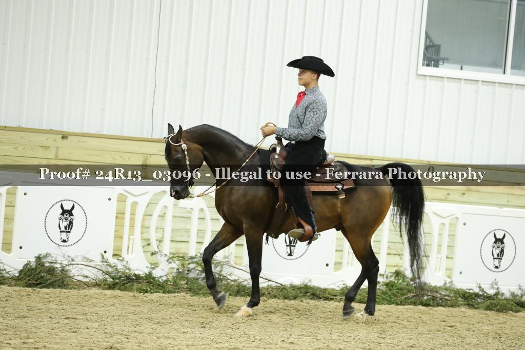 Proof 24R13_03096