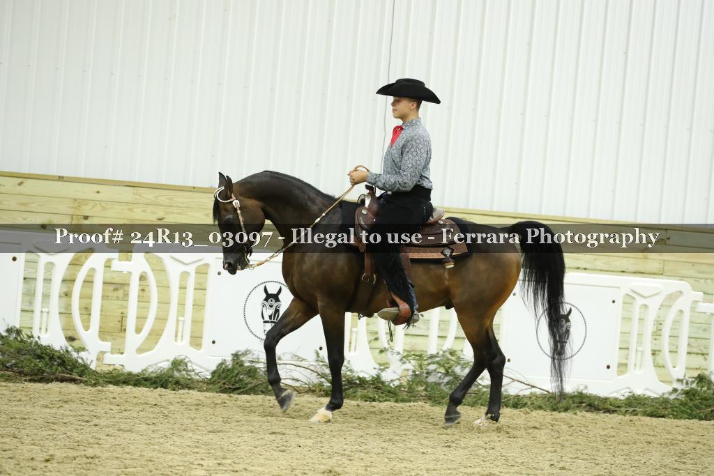 Proof 24R13_03097
