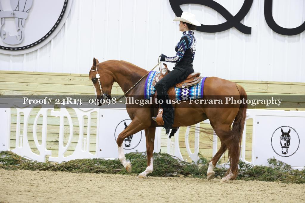 Proof 24R13_03098