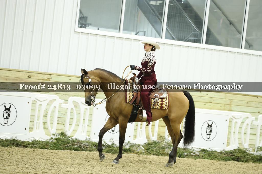 Proof 24R13_03099