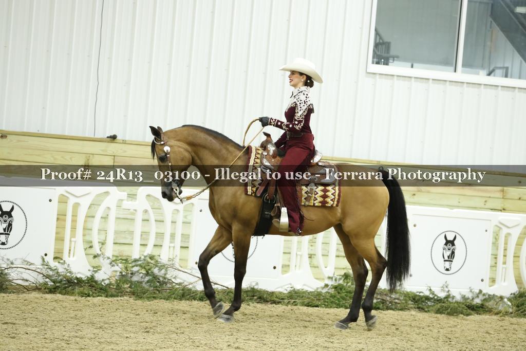 Proof 24R13_03100