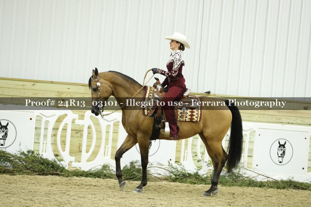 Proof 24R13_03101