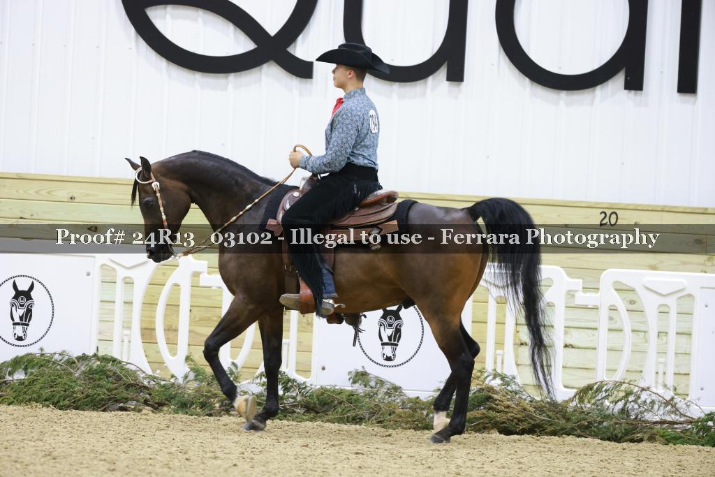 Proof 24R13_03102